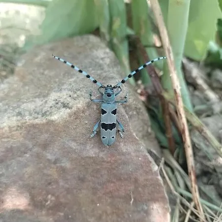Atypique Et Dans Les Marais, Espace Ouvert Apartman