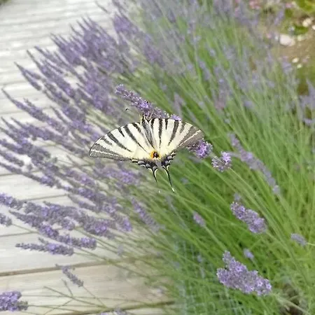 Atypique Et Dans Les Marais, Espace Ouvert Apartman Vue
