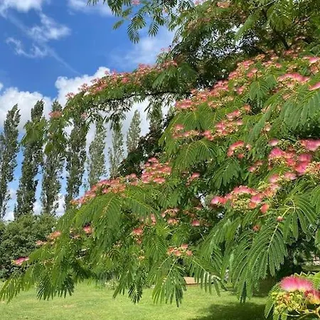 Atypique Et Dans Les Marais, Espace Ouvert Vue