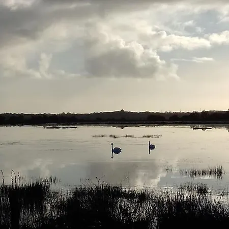 Apartman Atypique Et Dans Les Marais, Espace Ouvert Vue