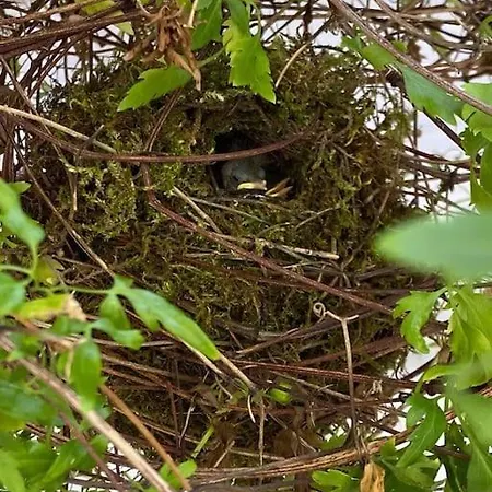 Apartman Atypique Et Dans Les Marais, Espace Ouvert