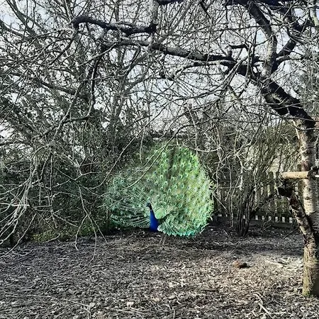 Atypique Et Dans Les Marais, Espace Ouvert * Vue