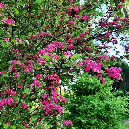 Atypique Et Dans Les Marais, Espace Ouvert Apartman Vue