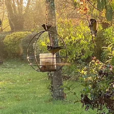 Atypique Et Dans Les Marais, Espace Ouvert Vue